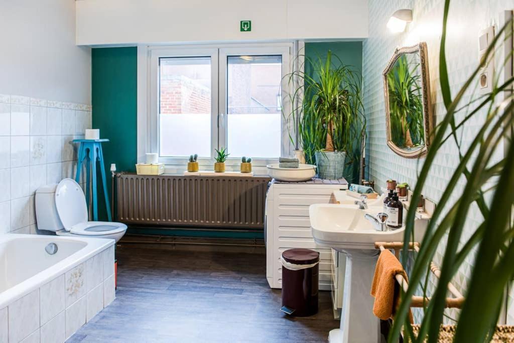 Vakantiewoning In Mol Centrum Met Eigen Bar "Casacuriosa" Esterno foto